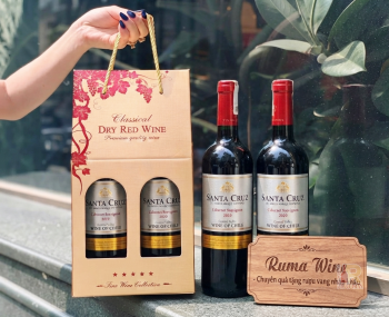 Quà tặng giá rẻ vang Chile Santa Cruz