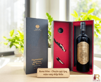 Quà tặng sang trọng HPK 1 chai vang Chile Nando