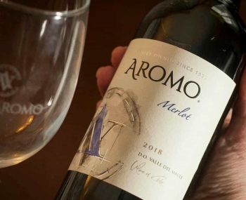 Rượu vang Chile Aromo Merlot