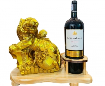 Rượu vang Chile Santo Molina 1.5L