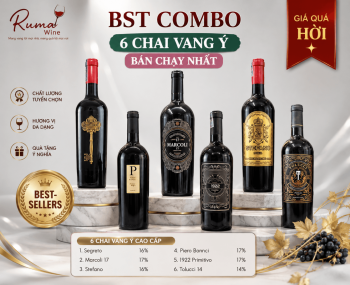 Combo 6 chai rượu vang Ý chất lượng