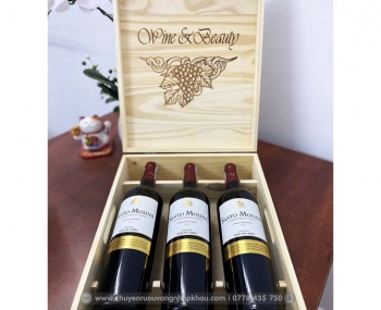 Quà tặng cao cấp 3 chai vang Chile Santo Molina