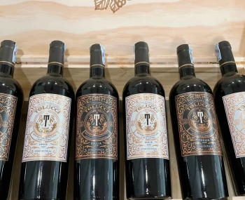 Quà tặng cao cấp 6 chai vang Ý Tolucci