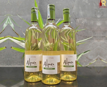 Rượu vang trắng Chile Alpaca Sauvignon Blanc