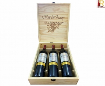 Quà tặng cao cấp 3 chai vang Chile Santa Cruz