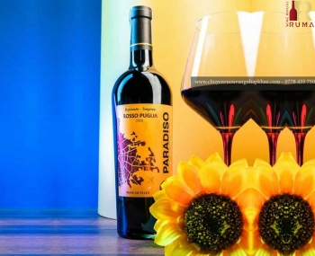 Rượu vang Ý Paradiso Rosso