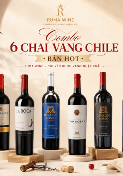 Combo 6 chai rượu vang Chile best seller