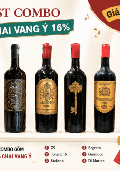 Combo 6 chai rượu vang Ý 16%