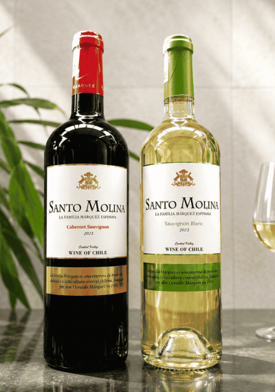 Rượu vang Chile Santo Molina