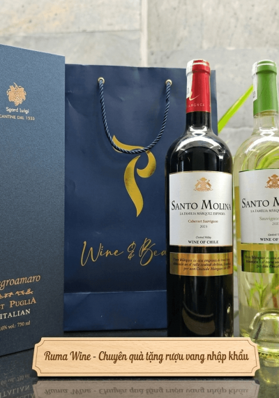 Quà tặng sang trọng HPK 1 chai vang Chile Santo Molina