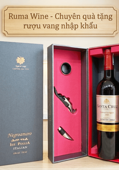 Quà tặng sang trọng HPK 1 chai vang Chile Santa Cruz