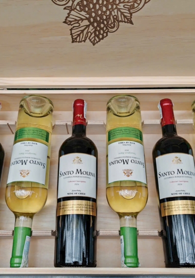 Quà tặng cao cấp 6 chai vang Chile Santo Molina