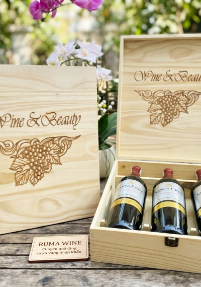 Quà tặng cao cấp 3 chai vang Chile Santa Cruz