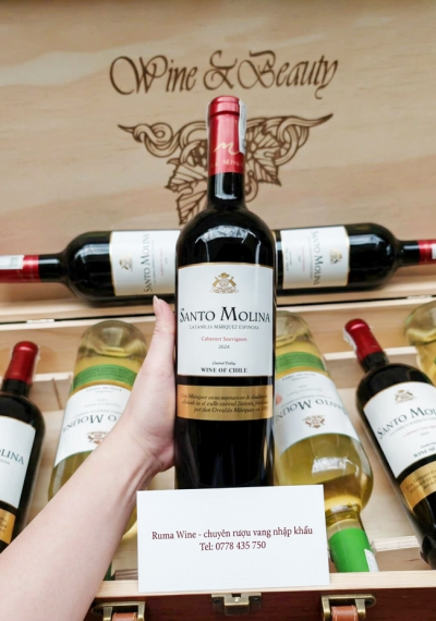 Rượu vang Chile Santo Molina