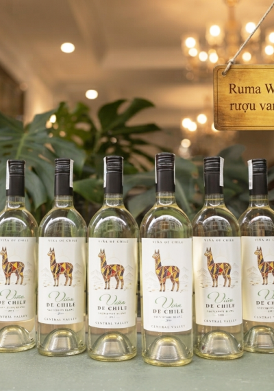 Rượu vang trắng Vina De Chile