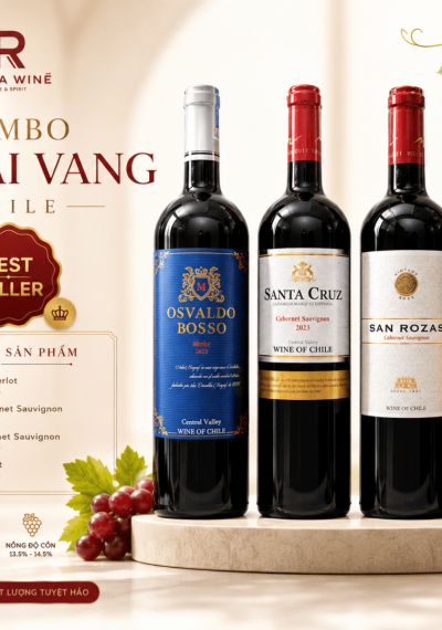 Combo 4 chai vang Chile nhập khẩu