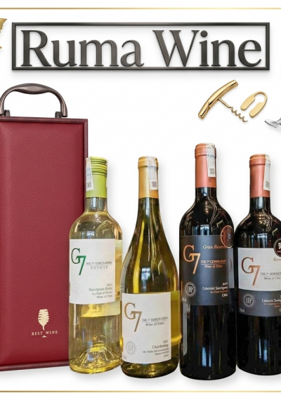 Bộ quà tặng tết hộp gỗ mặt da 1 chai rượu vang Chile G7
