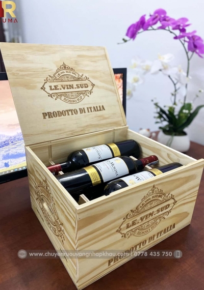 Quà tặng cao cấp 6 chai vang Chile Santo Molina