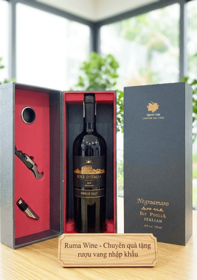 Quà tặng sang trọng HPK 1 chai vang Ý Sole D'Italia