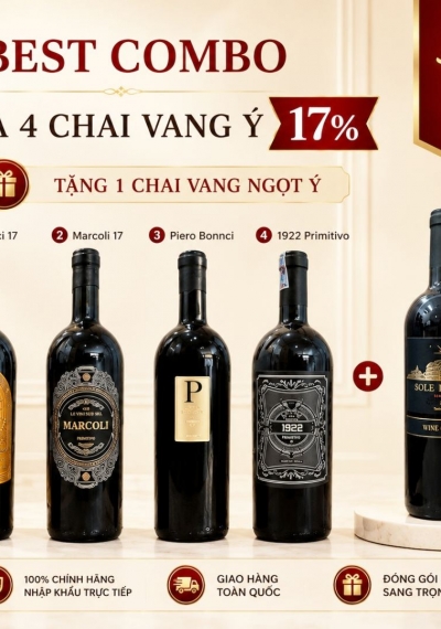 Combo 4 chai rượu vang Ý 17% tặng 1 chai