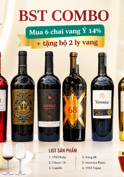Combo 6 chai vang Ý 14% cao cấp