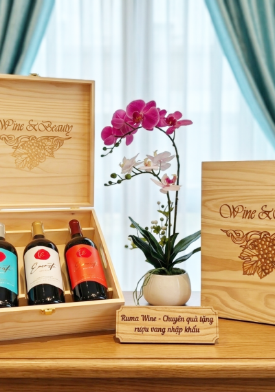 Quà tặng cao cấp 3 chai rượu vang Úc Encaste
