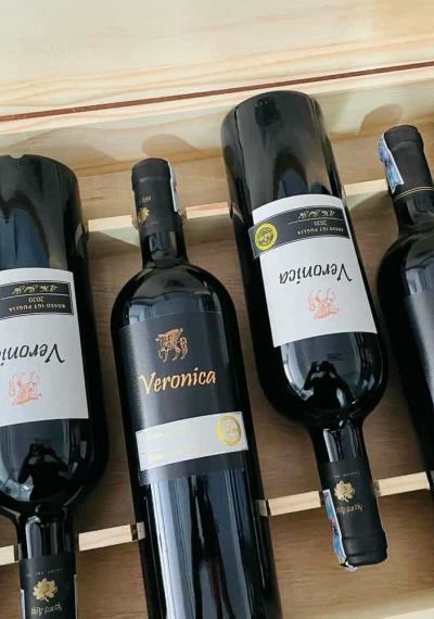 Quà tặng cao cấp 6 chai vang Ý Veronica