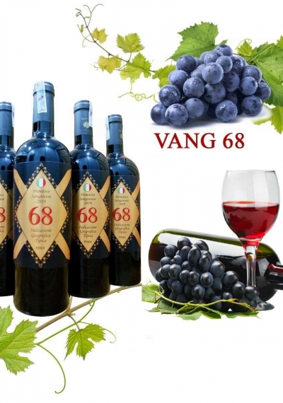 Rượu vang Ý 68 Indicazione Geografica Tipica