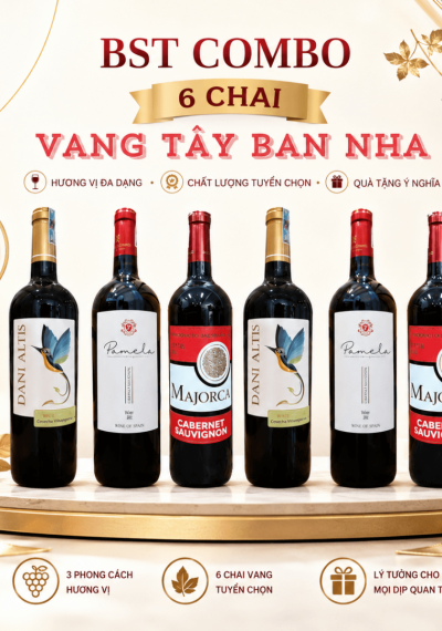 Combo 6 chai rượu vang Tây Ban Nha