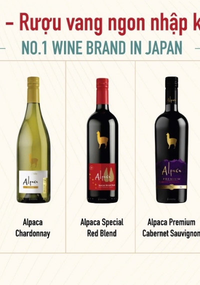 Rượu vang Chile nhập khẩu nguyên chai Alpaca