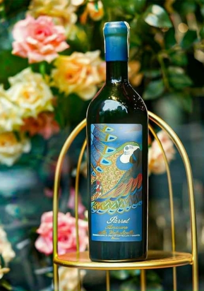 Rượu vang Ý cao cấp Parrot Amarone