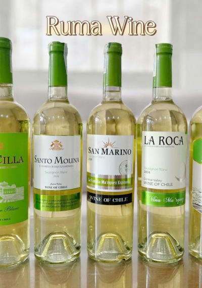 Rượu vang trắng Chile nhập khẩu