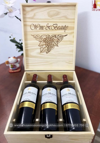 Quà tặng cao cấp 3 chai vang Chile Santo Molina
