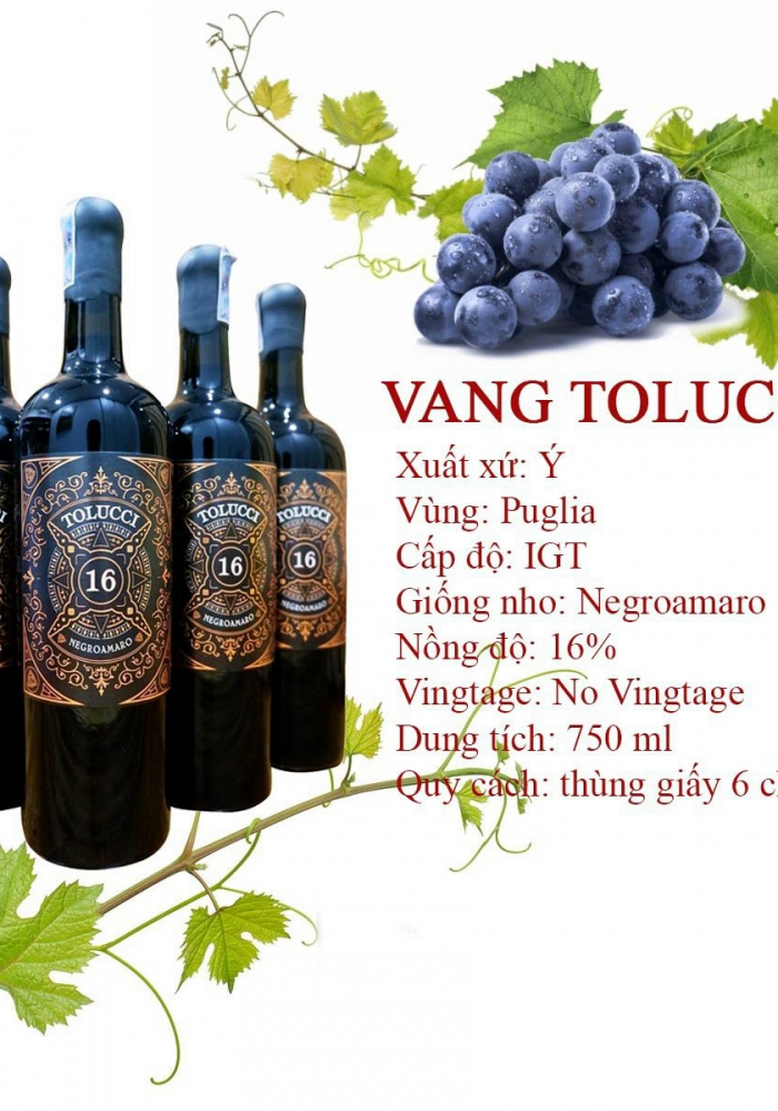 Hộp quà tặng tết rượu vang Ý Tolucci 16