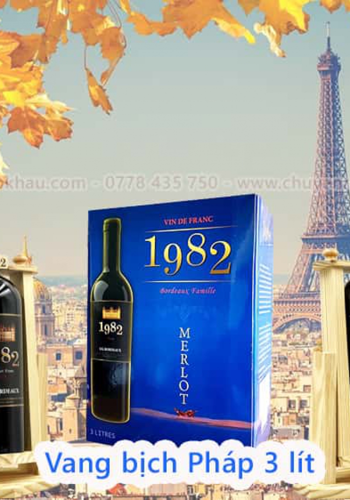 Rượu vang bịch Pháp 1982 Merlot 3 lít
