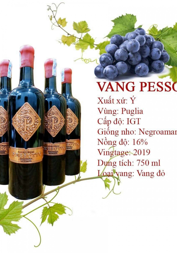 Rượu vang Ý Pessotto Negroamaro