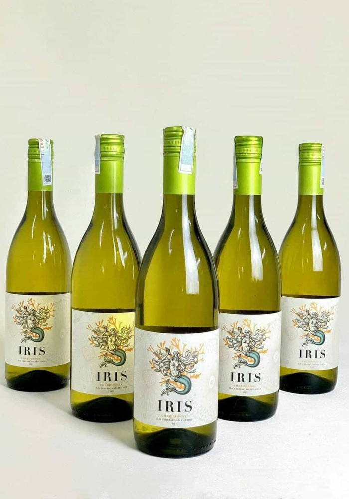 Hộp quà tặng tết rượu vang Chile Iris Chardonnay