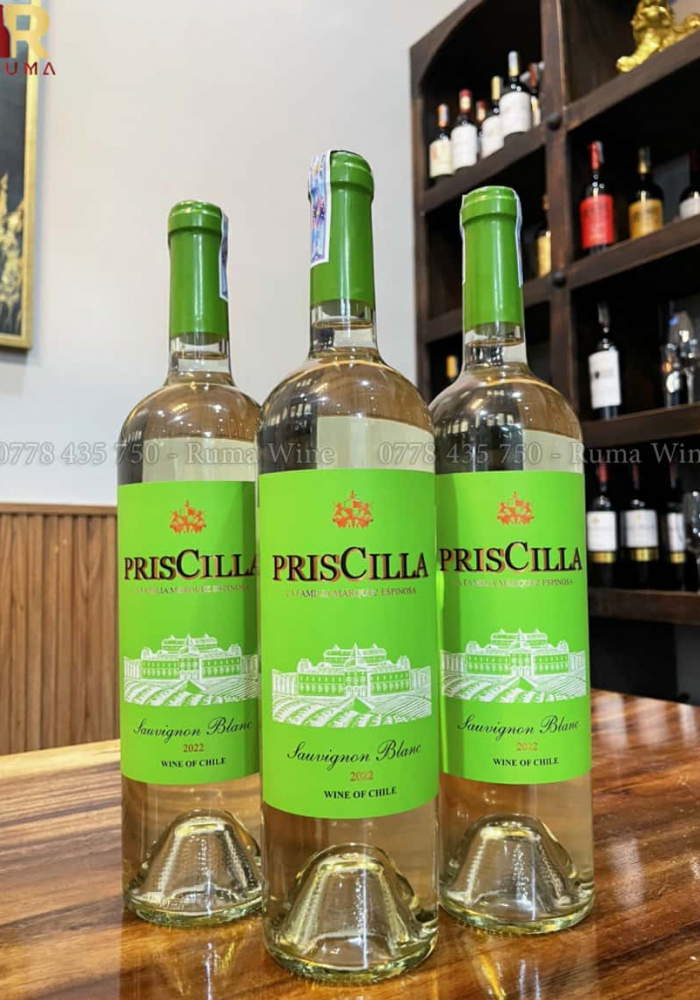 Rượu vang Chile PrisCilla Sauvignon Blanc