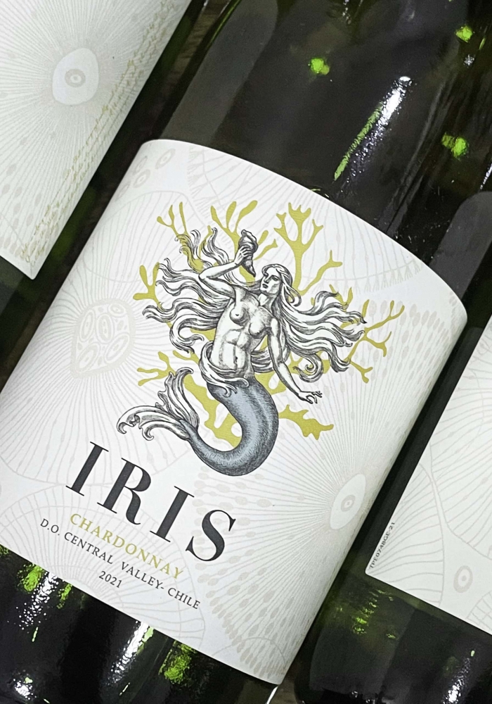 Rượu vang Chile Iris Chardonnay