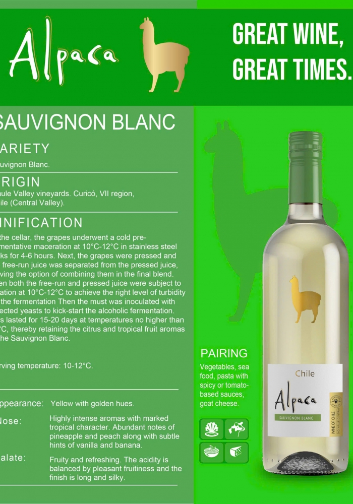 Rượu vang trắng Chile Alpaca Sauvignon Blanc