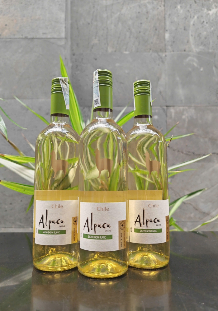 Rượu vang trắng Chile Alpaca Sauvignon Blanc