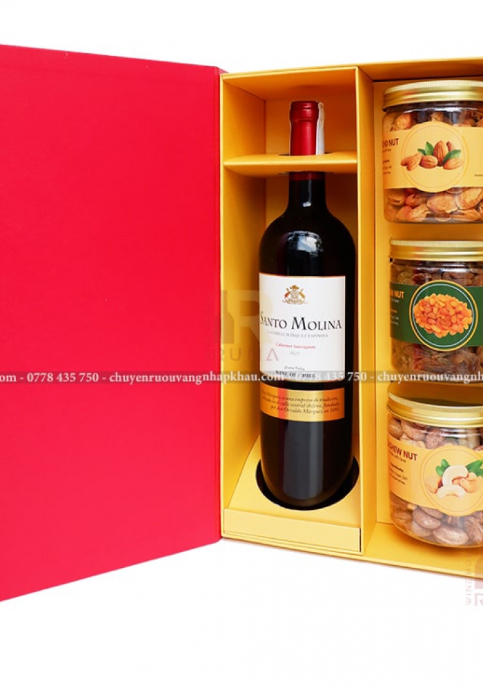Hộp quà tặng tết rượu vang Chile Santo Molina