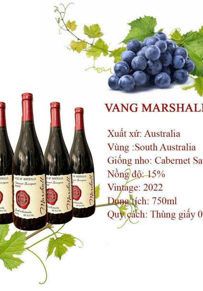 Hộp quà tặng tết rượu vang Úc Marshall