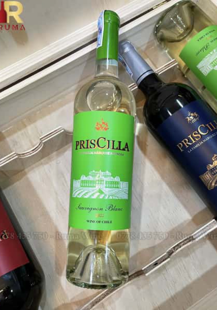 Rượu vang Chile PrisCilla Sauvignon Blanc