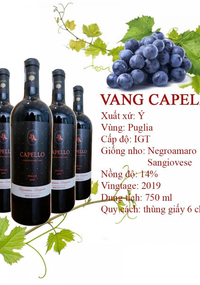 Hộp quà tặng tết rượu vang Ý Capello