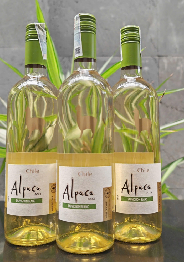 Rượu vang trắng Chile Alpaca Sauvignon Blanc