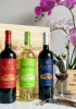 Quà tặng cao cấp 3 chai vang Chile PrisCilla