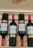 Quà tặng cao cấp 6 chai vang Chile Santo Molina