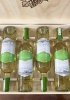 Quà tặng cao cấp 6 chai vang Chile Julio Lopez
