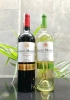 Rượu vang Chile Santo Molina